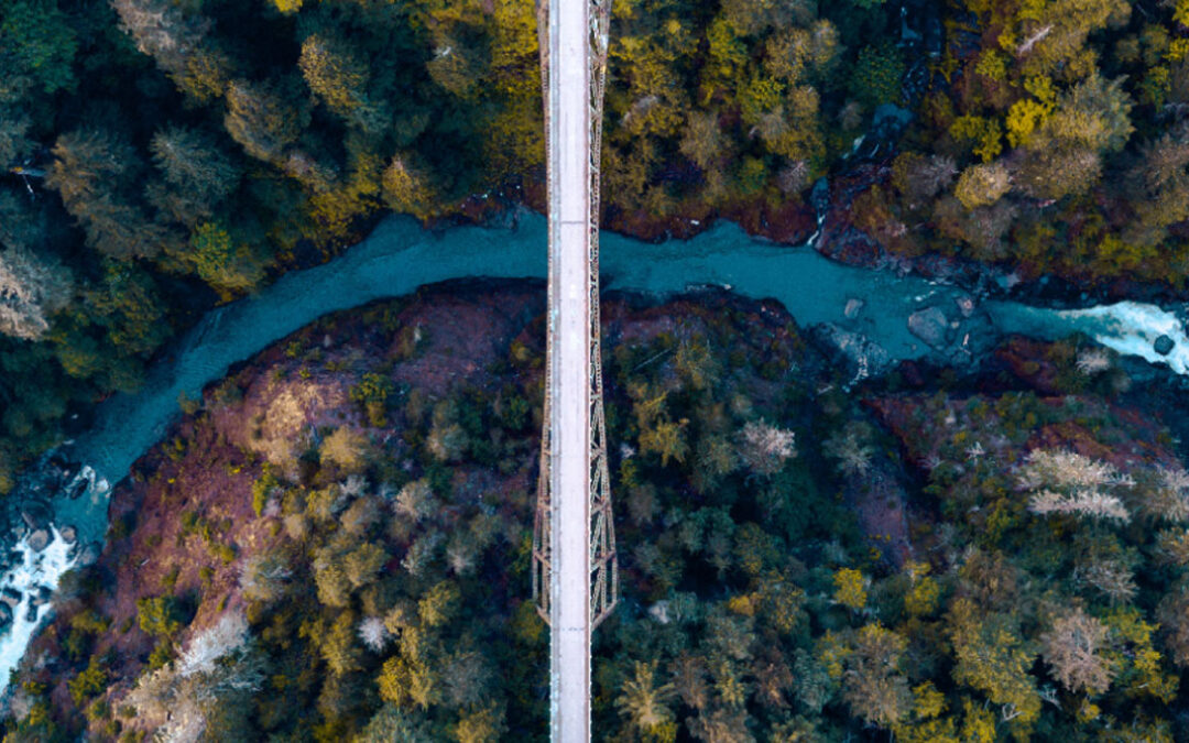 Pathways or roadblocks? Will consumers use Investment Pathways?