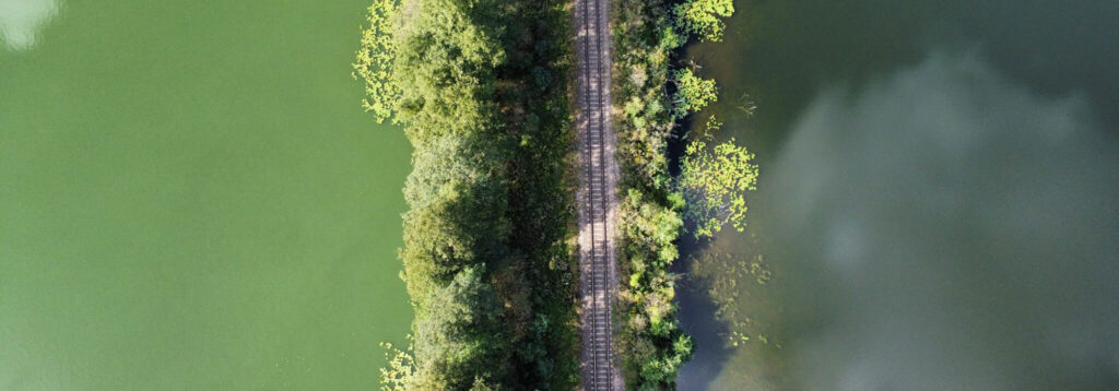 Understanding DC Advisors preferences