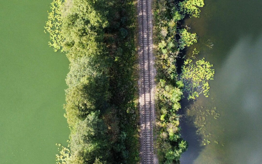 Understanding DC Advisors’ preferences