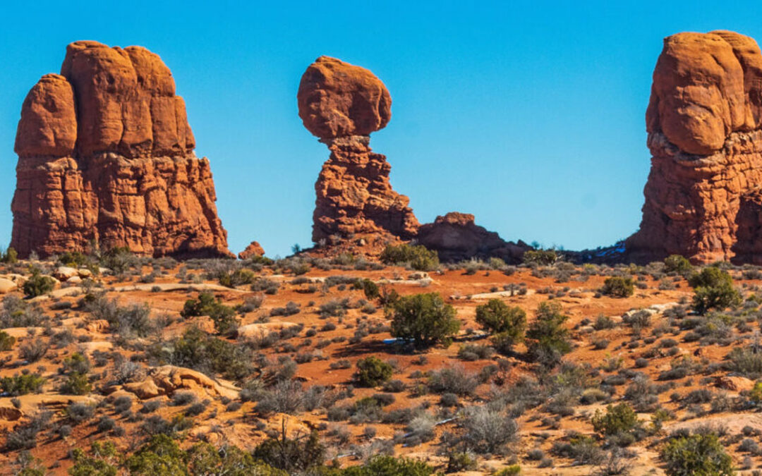 FCA Pure Protection Market Study: are value and access already in balance?